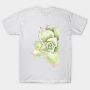 watercolor succulent echeveriamadiba T-Shirt